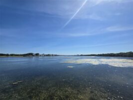 Panoramablick über den Binnensee