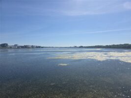 Ausblick über den Binnensee