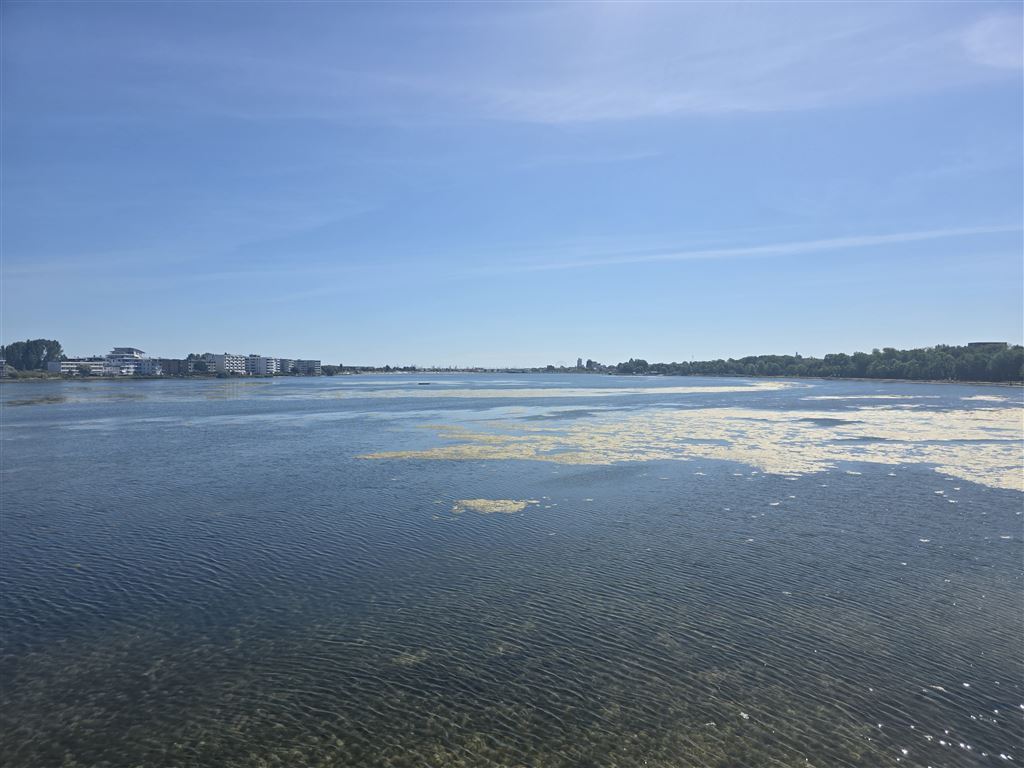 Ausblick über den Binnensee